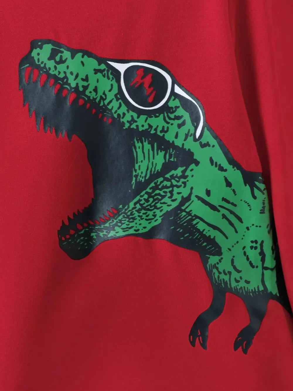 Dinosaur Round Neck Long Sleeve Top and Distressed Pants Set - tif-shop24.de